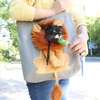 Pet Carrier Fabric Shoulder Bag Plush Lion Face Designed with Head Hole for Small Dogs & Cats