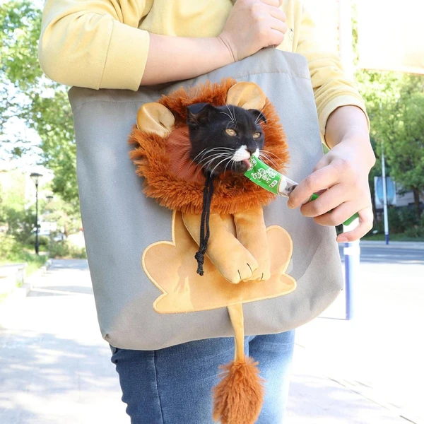 Pet Carrier Fabric Shoulder Bag Plush Lion Face Designed with Head Hole for Small Dogs & Cats