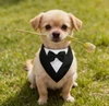 Dog Wedding Tuxedo Bandana with Bow Tie – Adjustable Formal Pet Outfit for Small Dogs (Size XS)