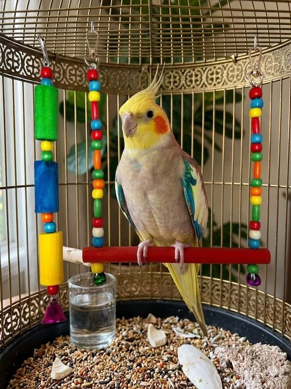 2pcs Bird Set Accessories for Bird Cage (Toy Swing H25 CM, W15 CM-Toy H28 CM)