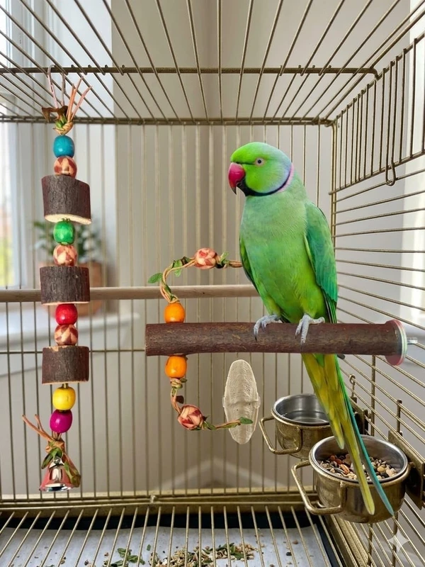 2pcs Natural Wooden Parrot Toy & Perch Set - Hanging Block Toy with Bell (25cm) Height & Natural Wood Branch Perch (22cm) Length for Small & Medium Birds