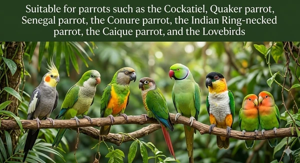 2pcs Natural Wooden Parrot Toy & Perch Set - Hanging Block Toy with Bell (25cm) Height & Natural Wood Branch Perch (22cm) Length for Small & Medium Birds