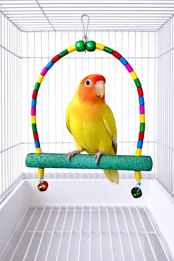 Nail Trimming Bird Perch Arch Swing (25cm H x 15cm L) Diameter 1.7cm for Budgies, Lovebirds, Fischer's, Parrotlets & Zebra Finches