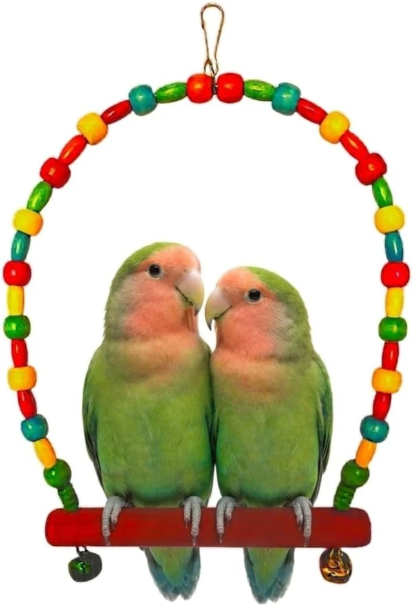 Colorful Bird Swing Toy with Bells Width 15cm - Height 25cm
