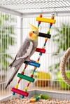 Natural Wood Ladder Toy, Climbing & Chewing Bridge, Safe Hanging for Parrots, Cockatiels, and Parakeets, Birdcage Accessories (6 Steps)