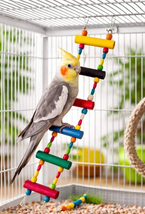 Natural Wood Ladder Toy, Climbing & Chewing Bridge, Safe Hanging for Parrots, Cockatiels, and Parakeets, Birdcage Accessories (6 Steps)