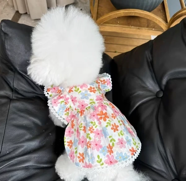 Princess Floral Pet Dress – Lightweight Summer Outfit for Small & Medium Breed Dogs & Cats