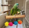 Parrot Chew Play Toy Natural Hemp Perch with Colorful Rattan Balls Hanging (20 cm Long, 2.5 cm Diameter - 10cm H)