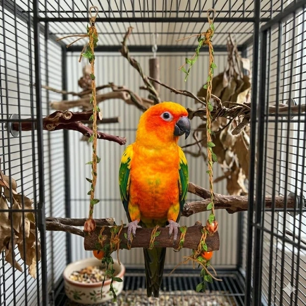 Natural Wood Bird Swing, Parrot Rope Swing Hanging Toy, Training Stand, 22 * 35 cm Reinforced with Metal Wire on Sides for Indian Ringneck, Rosella, Lories, Lorikeets, Senegal, Conure & Parakeet