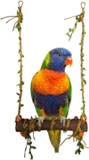 Natural Wood Bird Swing, Parrot Rope Swing Hanging Toy, Training Stand, 22 * 35 cm Reinforced with Metal Wire on Sides for Indian Ringneck, Rosella, Lories, Lorikeets, Senegal, Conure & Parakeet
