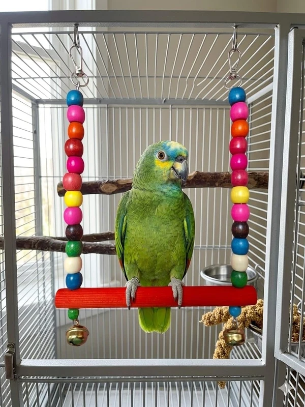 Bird Hanging Swing Toy for Birds, Parrots, Parakeets, Budgies, Cockatiels – Durable, Safe, and Fun Swing for Indoor Cage Play, Exercise, and Enrichment for Pet Birds 20x 25 cm