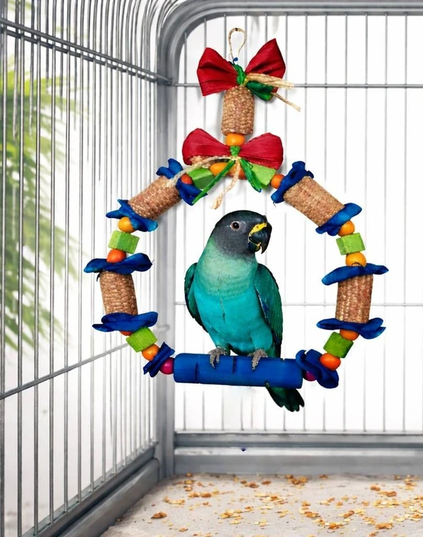 Parrot Chew Toys, Interactive Swing, Colorful Hanging Ring (HI 40 cm, Diameter 25 cm)