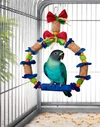Parrot Chew Toys, Interactive Swing, Colorful Hanging Ring (HI 40 cm, Diameter 25 cm)