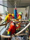 Large Parrot Chew Toy (35cm) - Safe Natural Wood, Cotton Rope & Rattan Balls with Bell - Anti-Boredom Bird Cage Enrichment for African Grey, Macaw, Amazon & Cockatoos