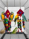 Wooden Funny Chew Toy for Parrot (Multicolor) HI 35 CM - W 10 CM