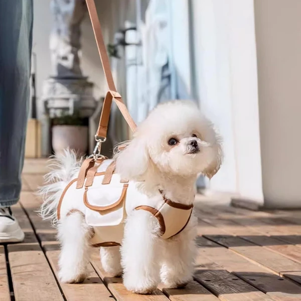 Multi-Purpose Breathable Outdoor Dog Carrier Bag – Shoulder Bag, Hand Carried Bag, and Walking Harness with Leash