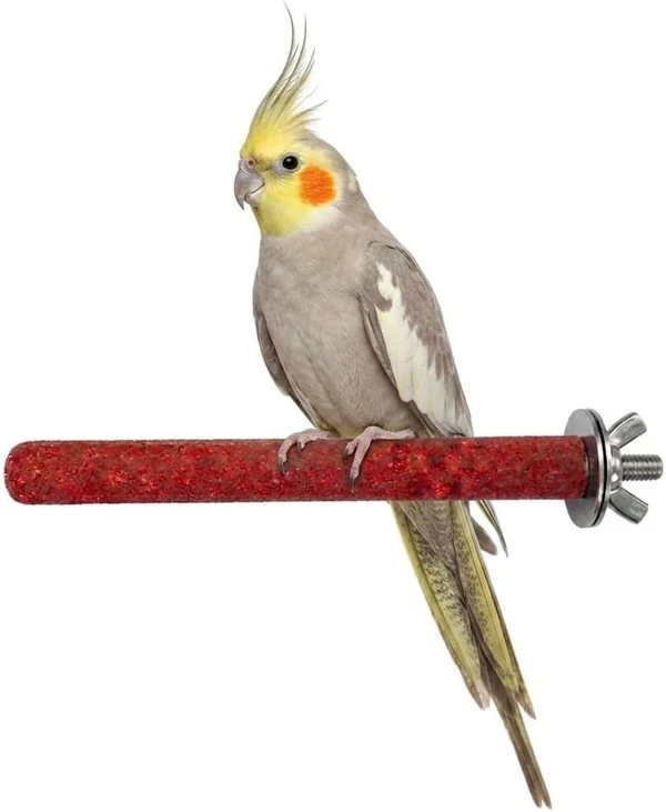 Bird Perch Stand Parrot Stand Paw Grinding 20cm Long, 1.9cm Diameter