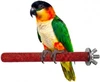 Bird Perch Stand & Paw Grinding Stick- Rough Surfaced Cage Accessory 20cm Long, 2.2cm Diameter, Suitable for Cockatiels, Conures, Quakers, Caiques & Senegal Parrot