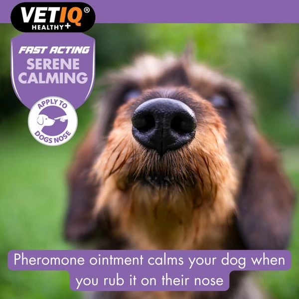 VETIQ® Serene Calming Ointment Fast-Action 50G