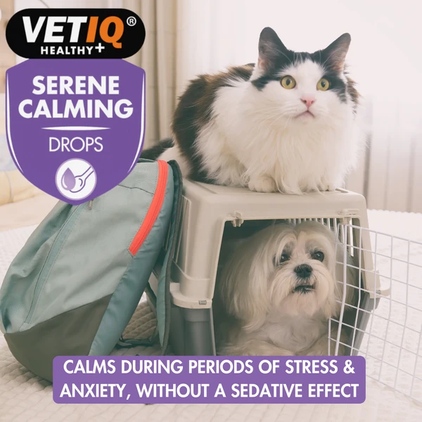VETIQ® Serene Calming Drops 100ML