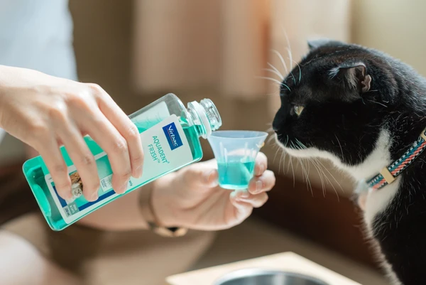 Virbac Vet Aquadent FR3SH™ – Water Additive for Dogs & Cats 250ml