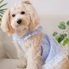 Blue Plaid Princess Dog Dress with Lace & Bow – Elegant Outfit for Small Dogs (Size: Medium)