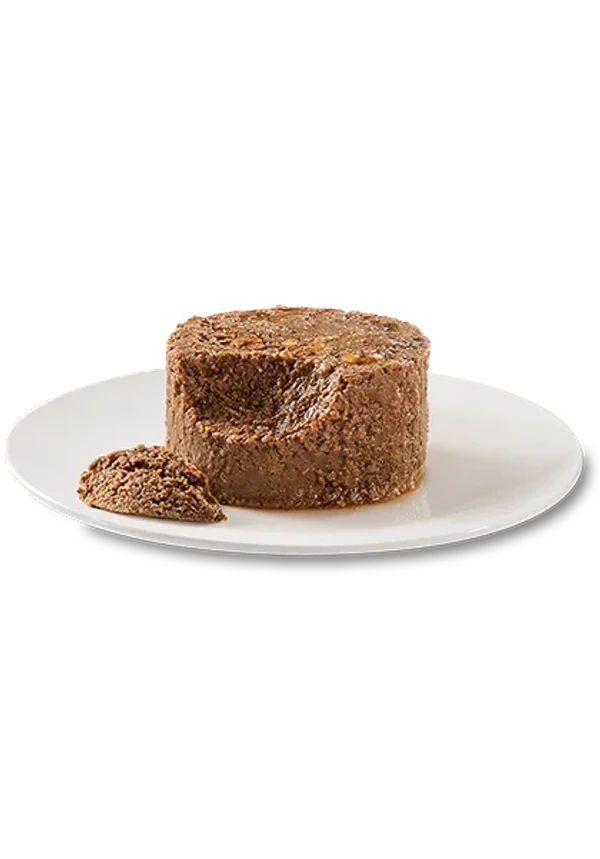 Oasy Caprice Mousse Adult Cat Wet Food Tins 85g