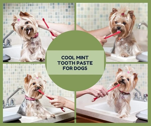 Nunbell Oral Care Toothpaste Mint Flavor for Dogs 95g