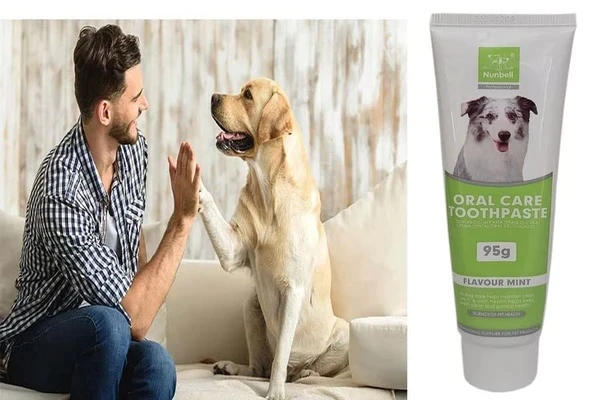 Nunbell Oral Care Toothpaste Mint Flavor for Dogs 95g