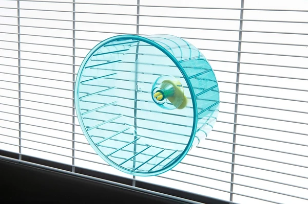 Savic Rolly Medium | Small Animal Exercise Wheel Recommended for Mice, Dwarf Hamsters and Hamsters