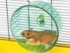 Savic Rolly Medium | Small Animal Exercise Wheel Recommended for Mice, Dwarf Hamsters and Hamsters