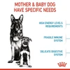 Royal Canin - Maxi Starter Mother & Babydog Dry Food 18kg