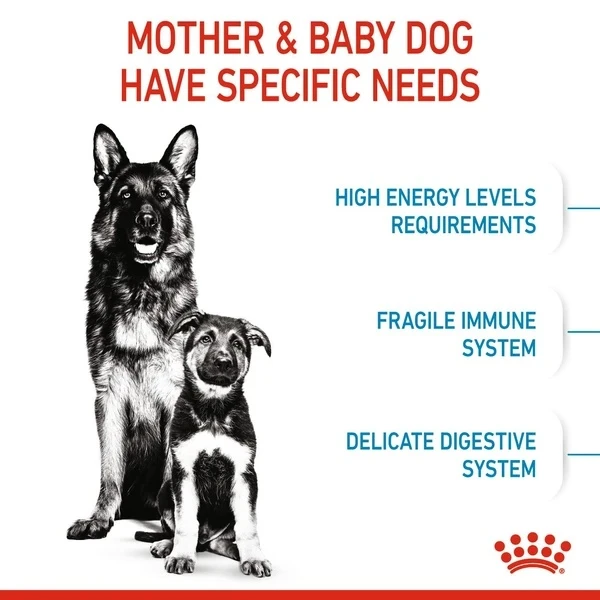 Royal Canin - Maxi Starter Mother & Babydog Dry Food 18kg