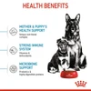 Royal Canin - Maxi Starter Mother & Babydog Dry Food 18kg