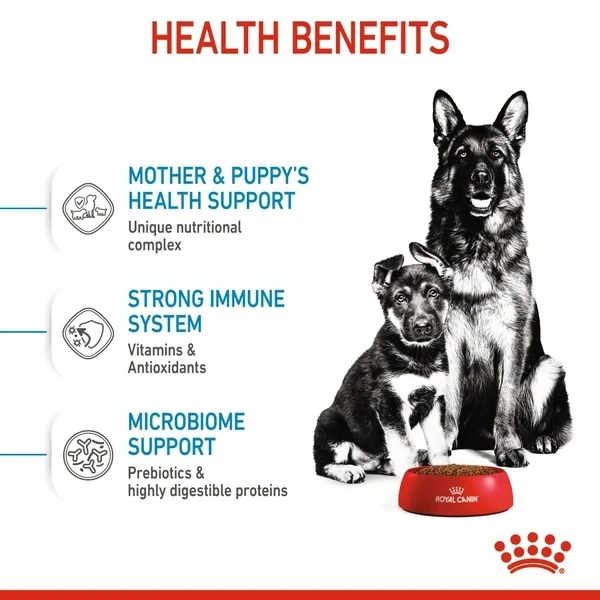 Royal Canin - Maxi Starter Mother & Babydog Dry Food 18kg
