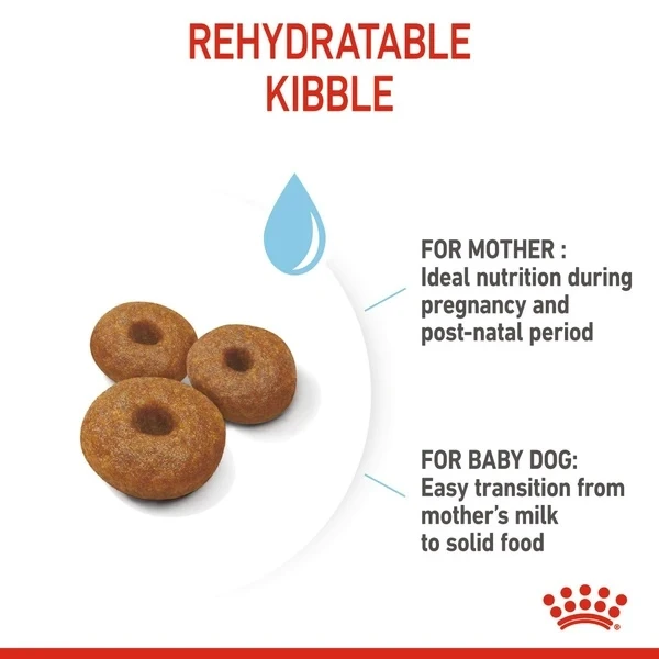 Royal Canin - Maxi Starter Mother & Babydog Dry Food 18kg