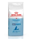 Royal Canin - Maxi Starter Mother & Babydog Dry Food 18kg