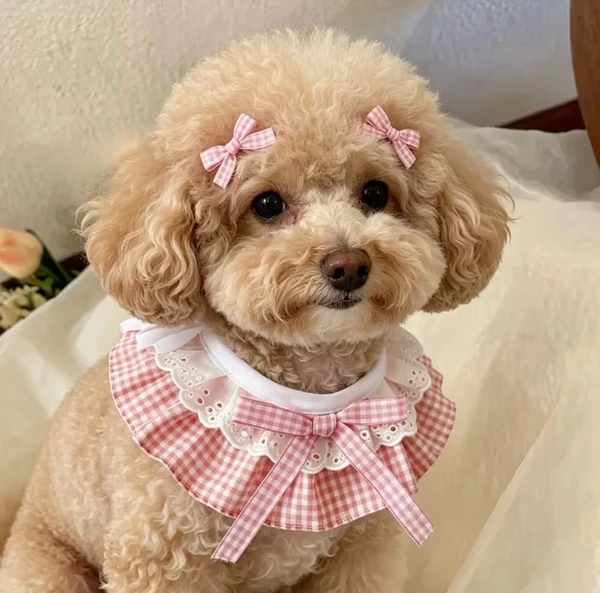 3-Piece Adjustable Pet Ruffle Collar & Bow Hair Clip Set – Cute Plaid Neck Collar for Dogs & Cats, Stylish Accessories for Puppies, Kittens & Small Pets