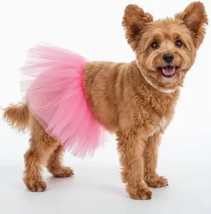 Mesh Pet Tutu Skirt for Dogs & Cats – Adjustable Princess Tulle Skirt Outfit