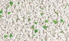 3 X Cat’s Way White Bentonite Clumping Cat Litter Aloe Vera Scented 5L