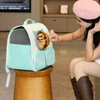 Breathable Pet Travel Backpack Bag with Bubble Window and Storage Pockets with Cute Paw Print for Cats & Small Dogs