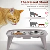 Elevated Double Stainless Steel Bowls Food & Water Pet Feeder for Cats & Dogs