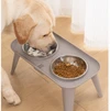Elevated Double Stainless Steel Bowls Food & Water Pet Feeder for Cats & Dogs