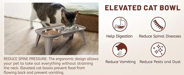Elevated Double Stainless Steel Bowls Food & Water Pet Feeder for Cats & Dogs
