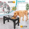 5 Adjustable Heights Elevated Foldable ABS Stand with Double Stainless Steel Bowls Food & Water Dog Feeder