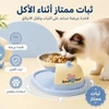 Detachable Elevated Hanging Stainless Steel Pet Feeding Bowl with Anti-Slip Base for Cats & Small Dogs