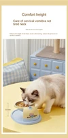 Detachable Elevated Hanging Stainless Steel Pet Feeding Bowl with Anti-Slip Base for Cats & Small Dogs