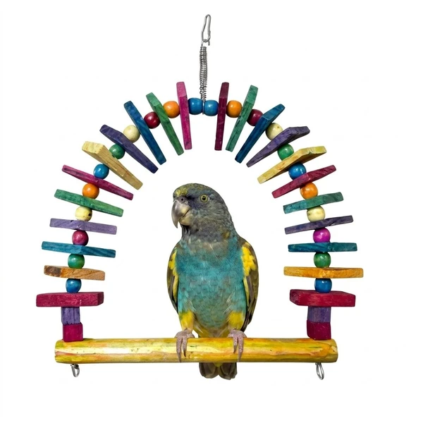 Bird Swing & Natural Wood Chew Toy for Cage - Ideal for Conure, Caique, Senegal, Ringneck & Meyer 30 x 35 cm