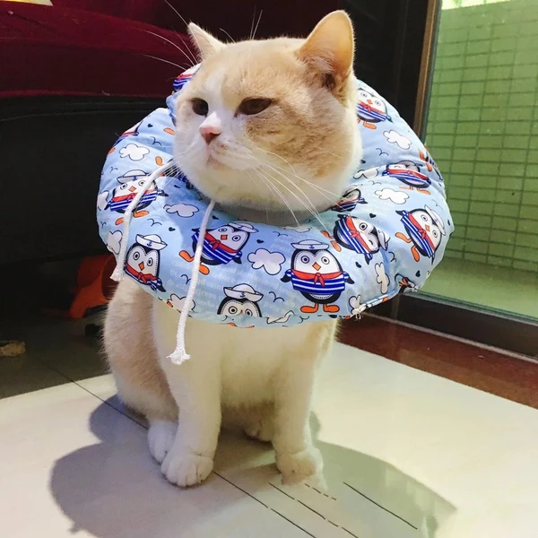 Fashion Adjustable Cotton Donut Pet Recovery Collar with Ribbon Drawstring Closure – Comfortable, Durable, Washable, Anti Licking After Surgery for Cats Small Dogs