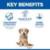 Hills Science Plan Small and mini adult dog food with chicken